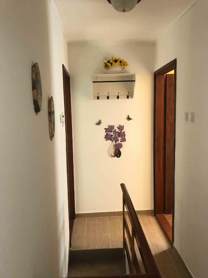 Apartma Evi Zaga Kültér fotó