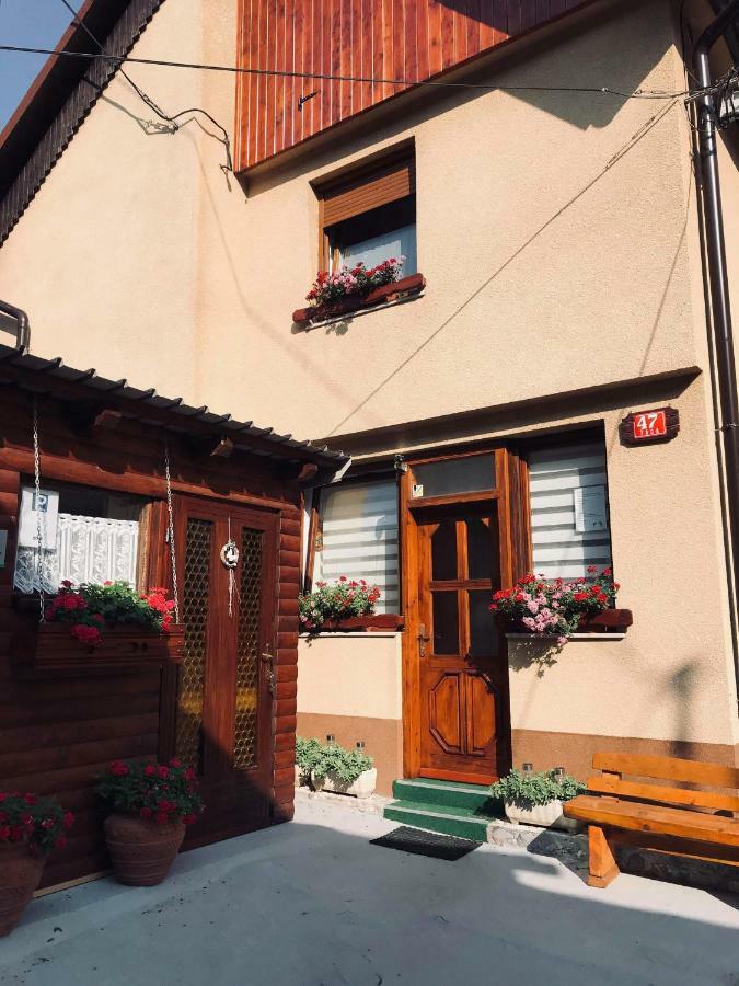 Apartma Evi Zaga Kültér fotó